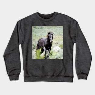 Racing Black Stallion Wild Mustang Photo Crewneck Sweatshirt